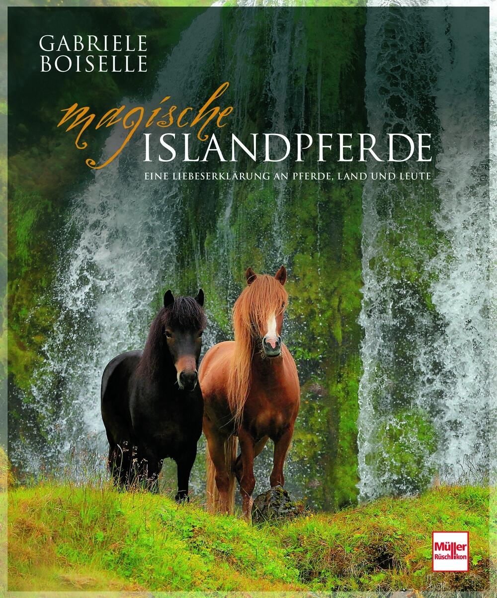 magische Islandpferde