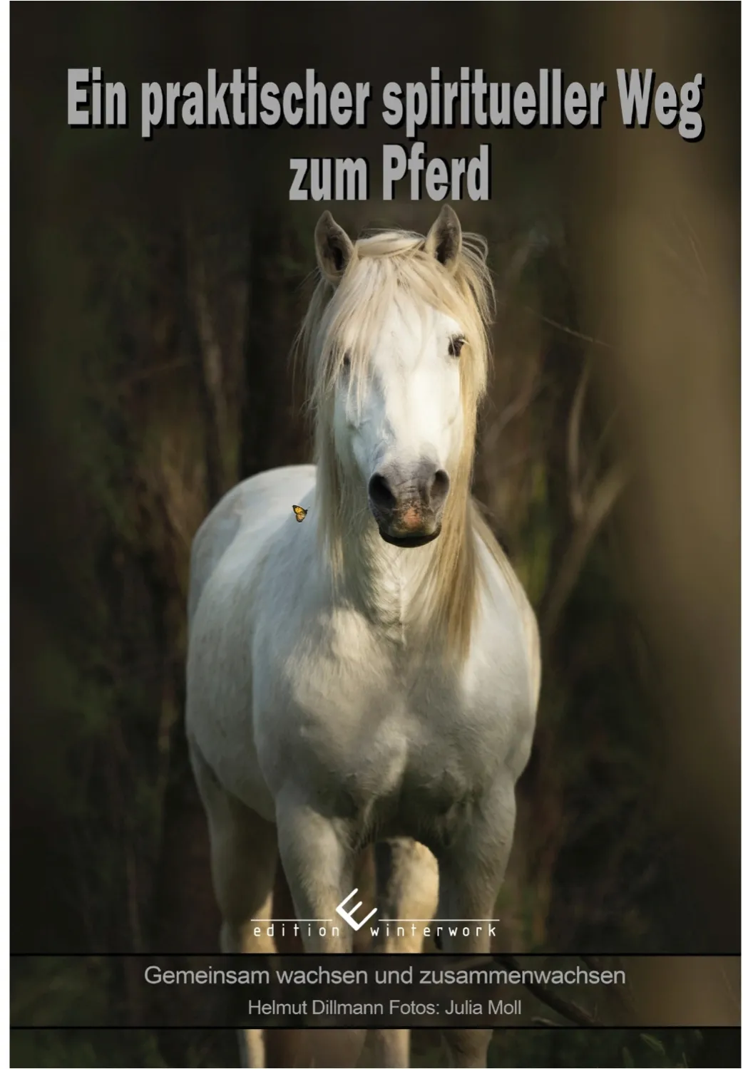 Ein praktischer spiritueller Weg zum Pferd