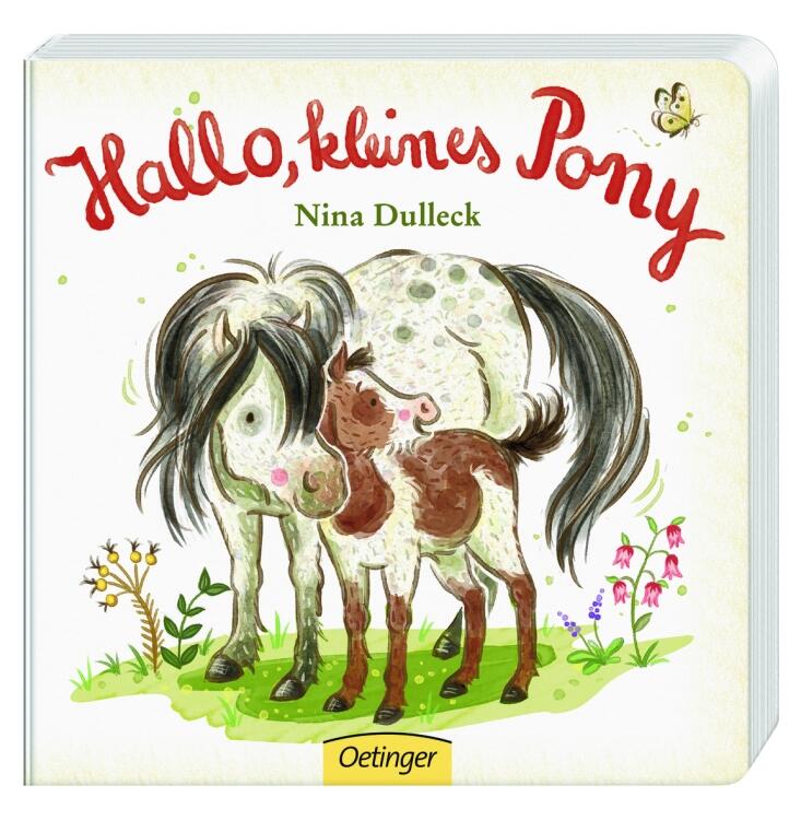Hallo, kleines Pony!
