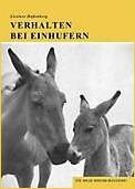 Verhalten bei Einhufern