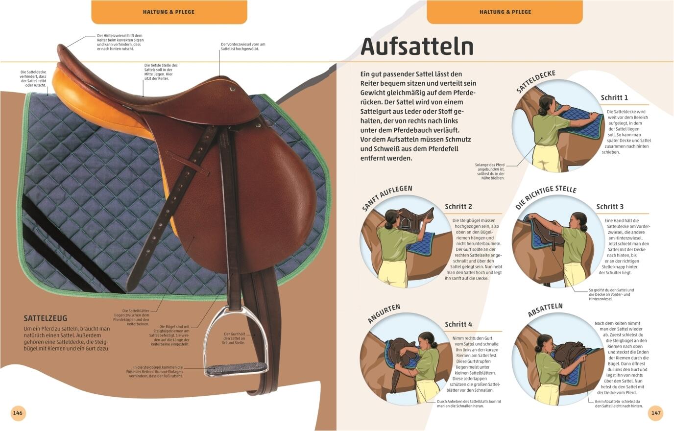 Pferde und Ponys