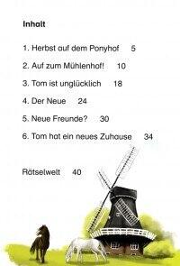 Vom Esel, der keine Geschichte hatte