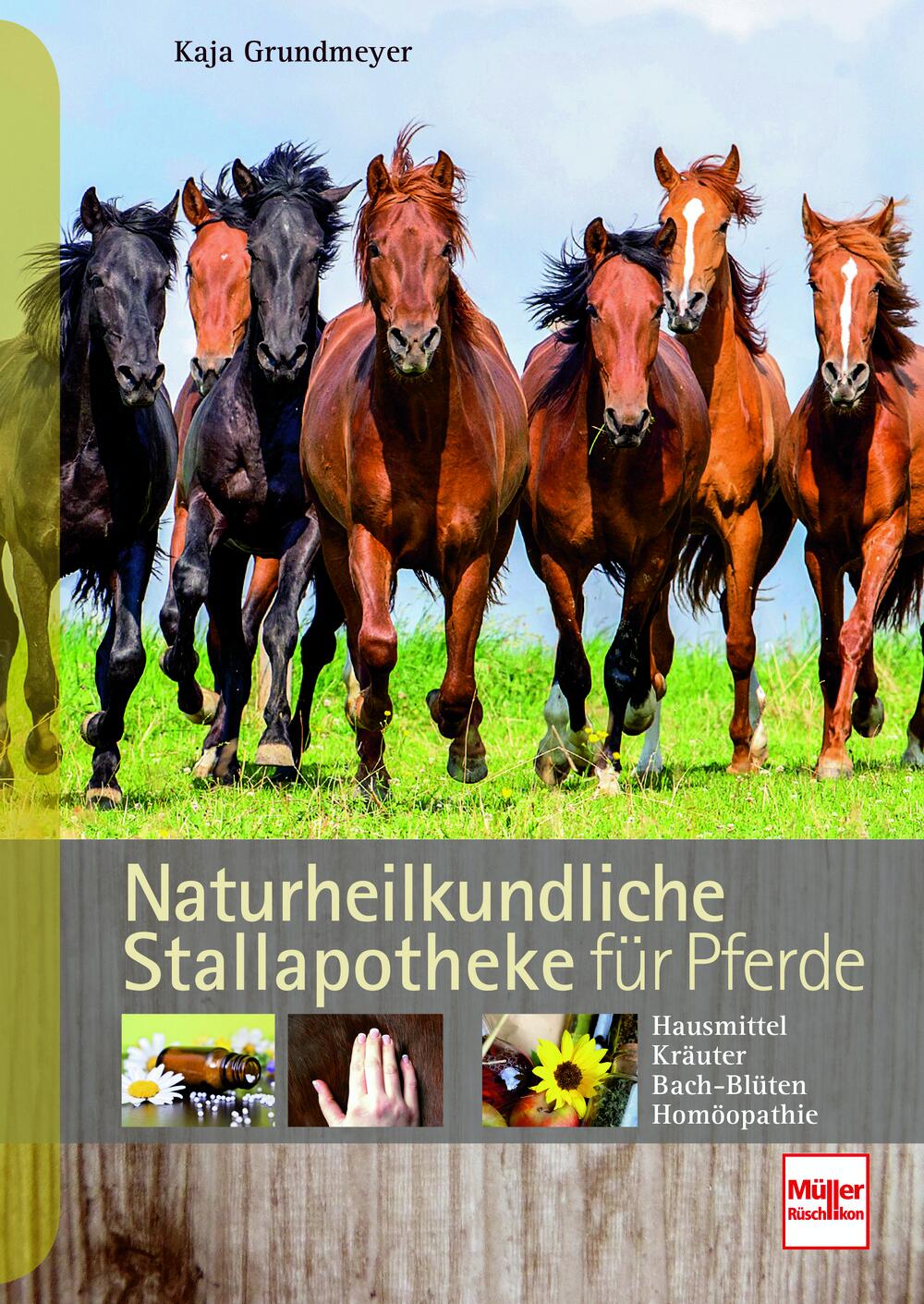 Naturheilkundliche Stallapotheke f&uuml;r Pferde