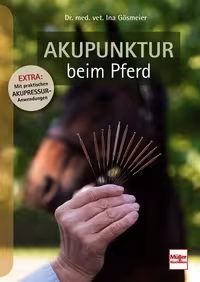 Akupunktur beim Pferd
