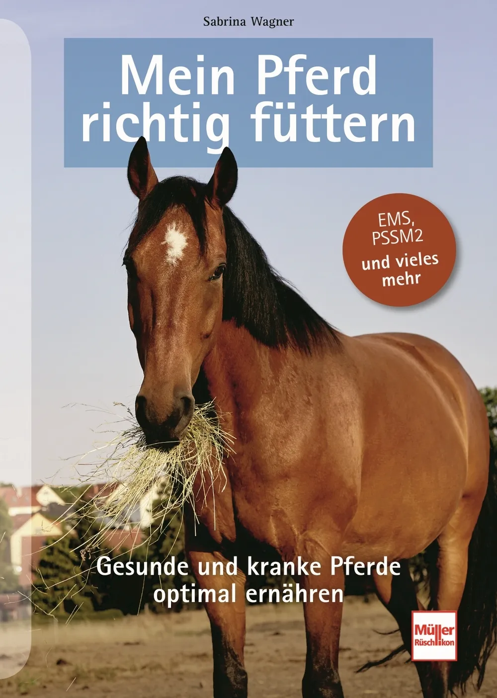 Mein Pferd richtig f&uuml;ttern