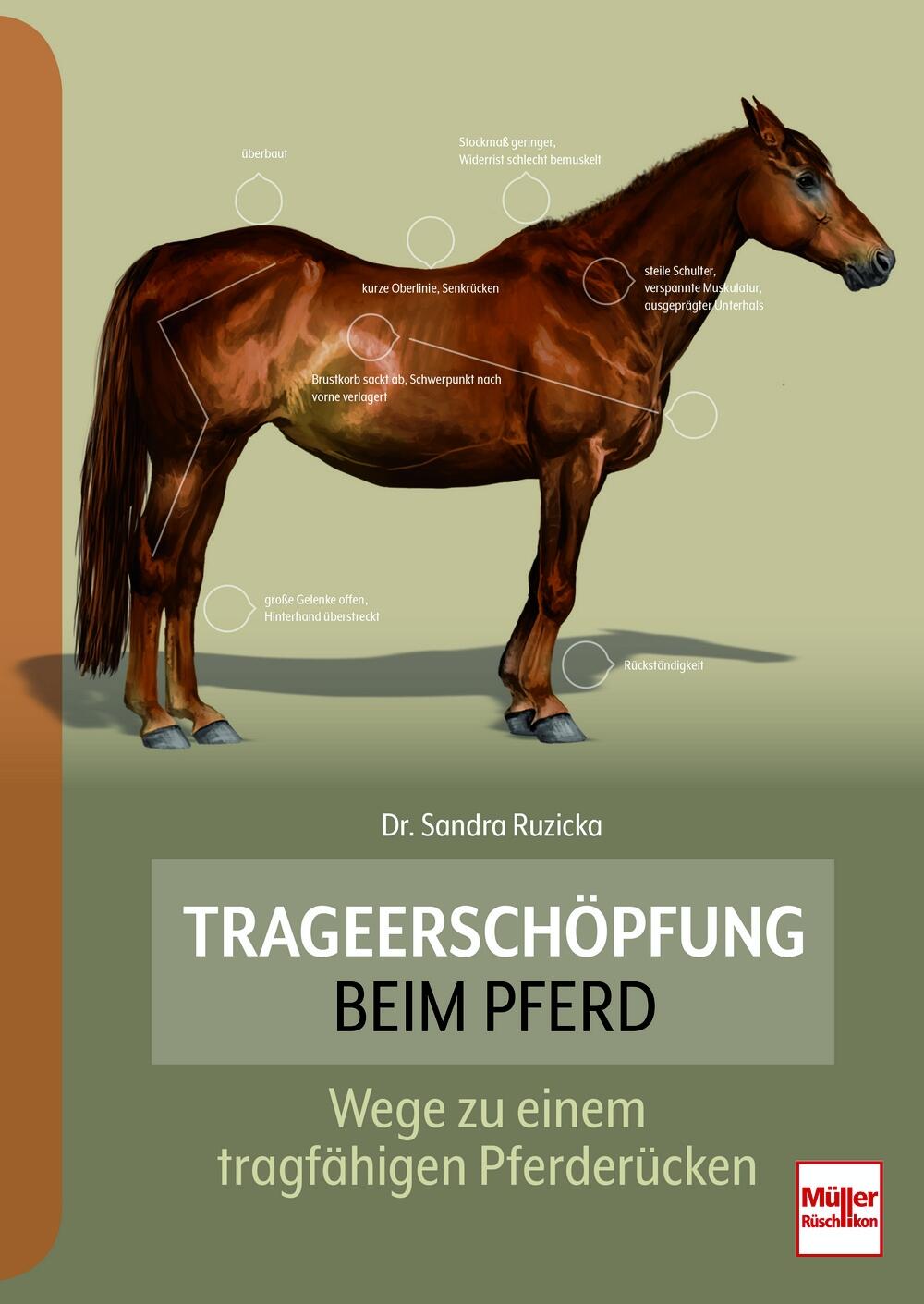 Trageersch&ouml;pftung beim Pferd