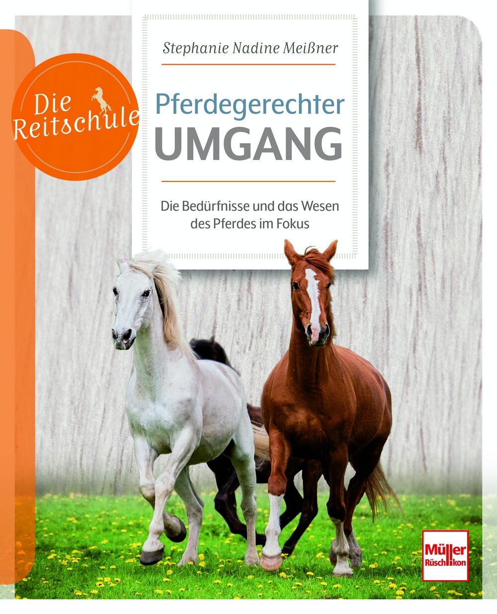 Die Reitschule - Pferdegerechter Umgang