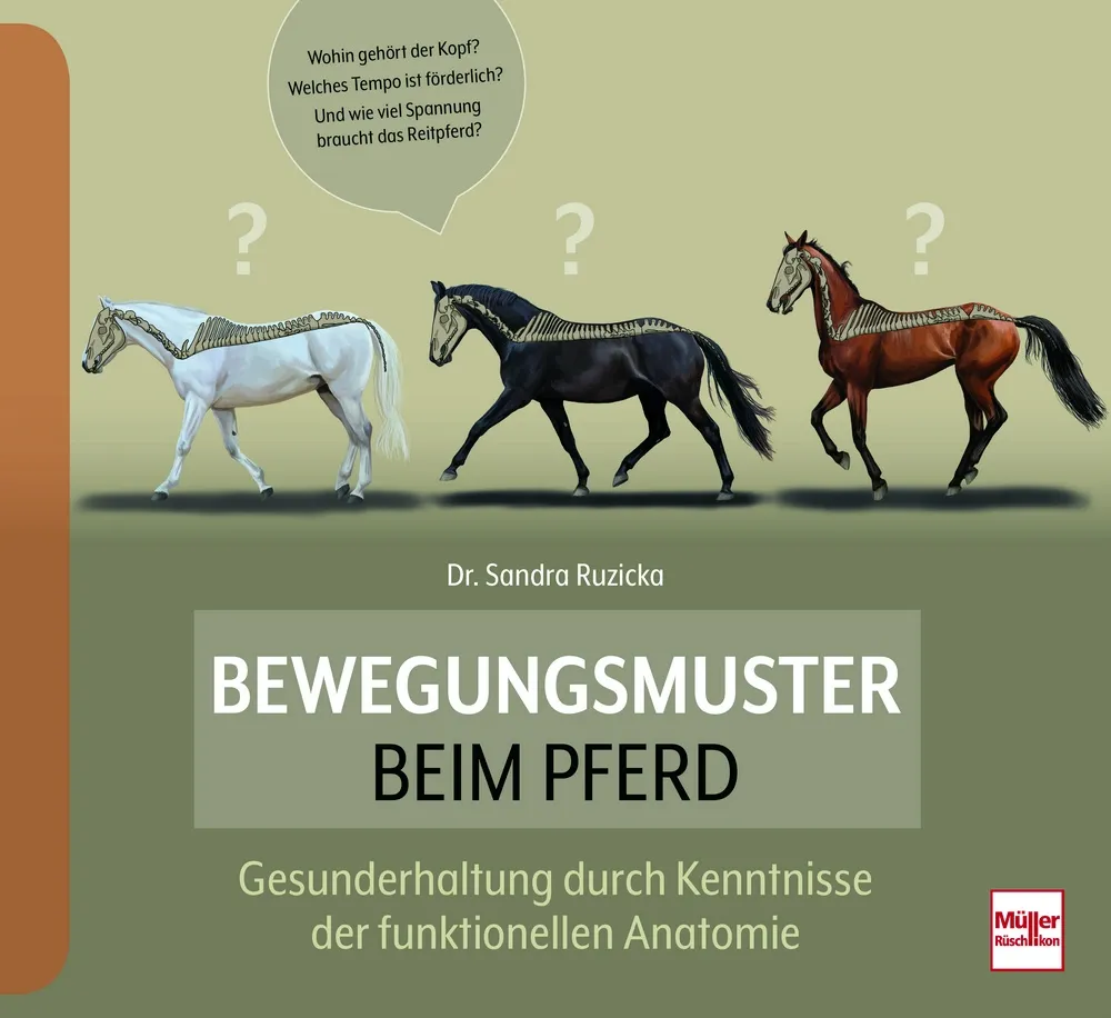 Bewegungsmuster beim Pferd