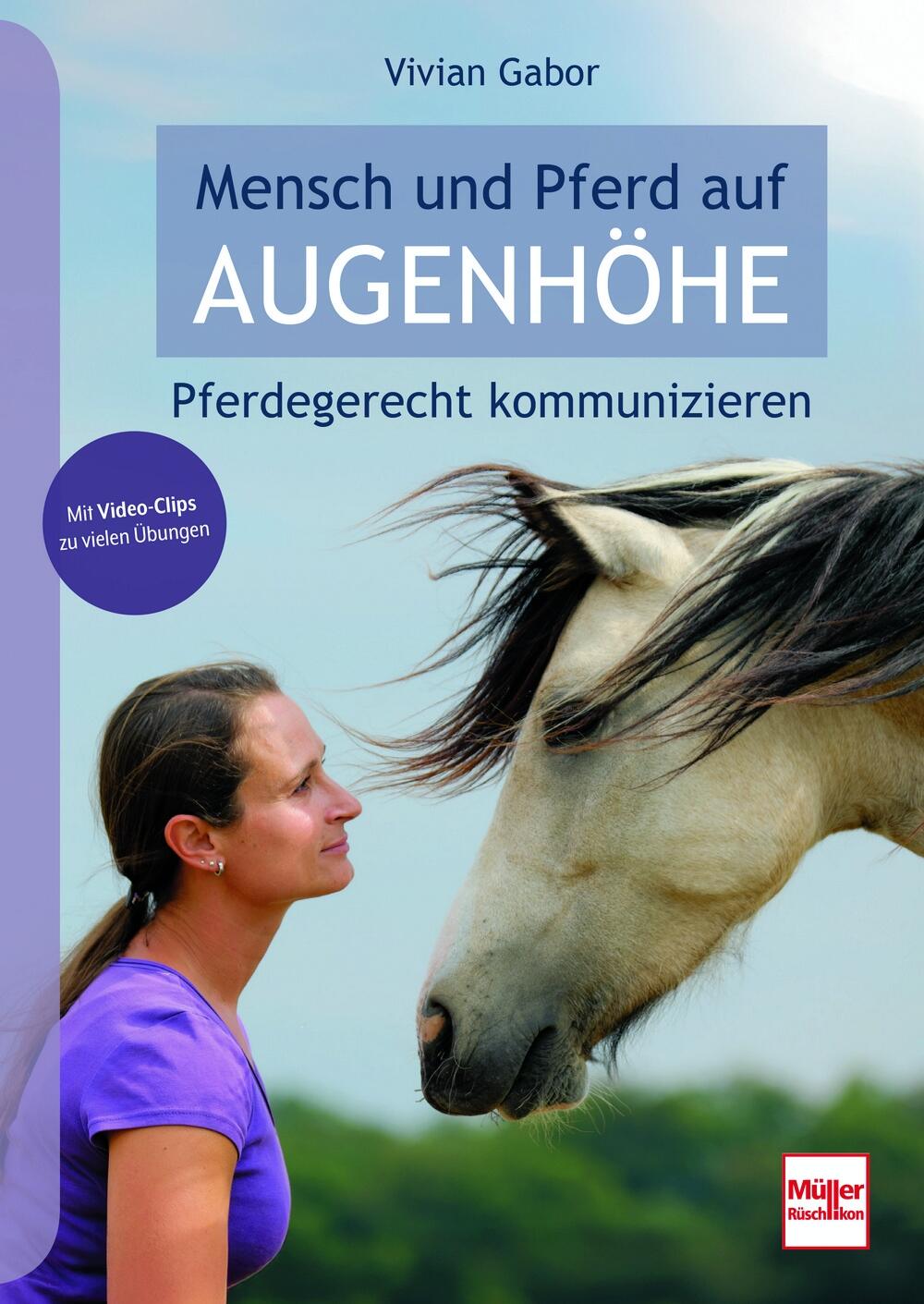 Mensch und Pferd auf Augenh&ouml;he