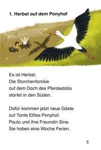 Vom Esel, der keine Geschichte hatte