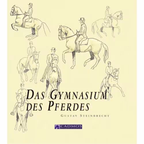 DAS GYMNASIUM DES PFERDES