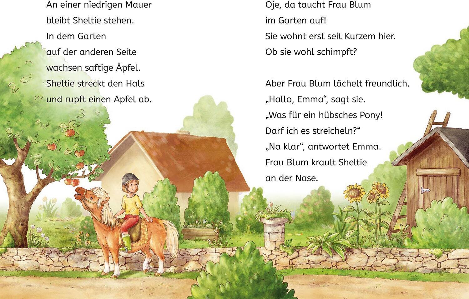 B&uuml;cherhelden 1. Kl.: Sheltie - Sheltie und die Katzenbabys