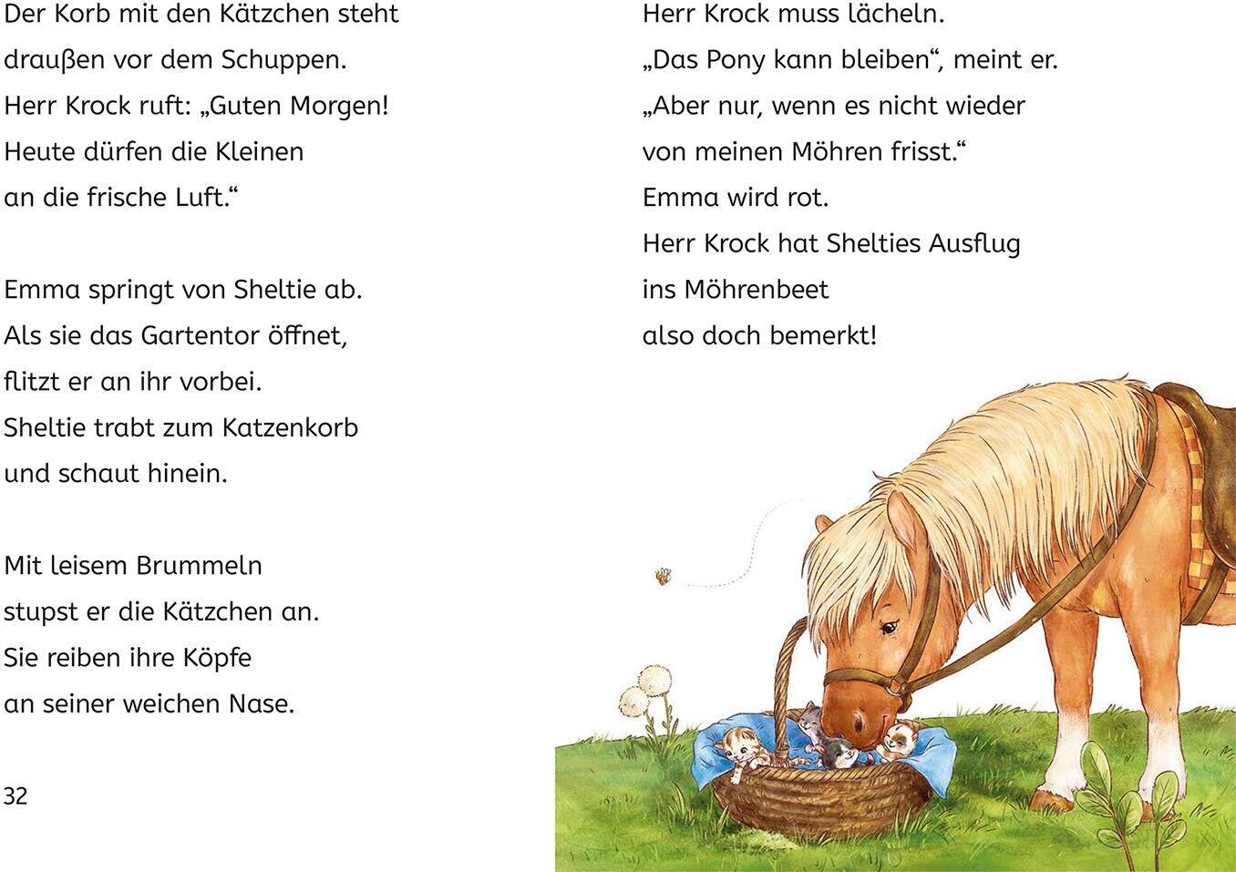 B&uuml;cherhelden 1. Kl.: Sheltie - Sheltie und die Katzenbabys