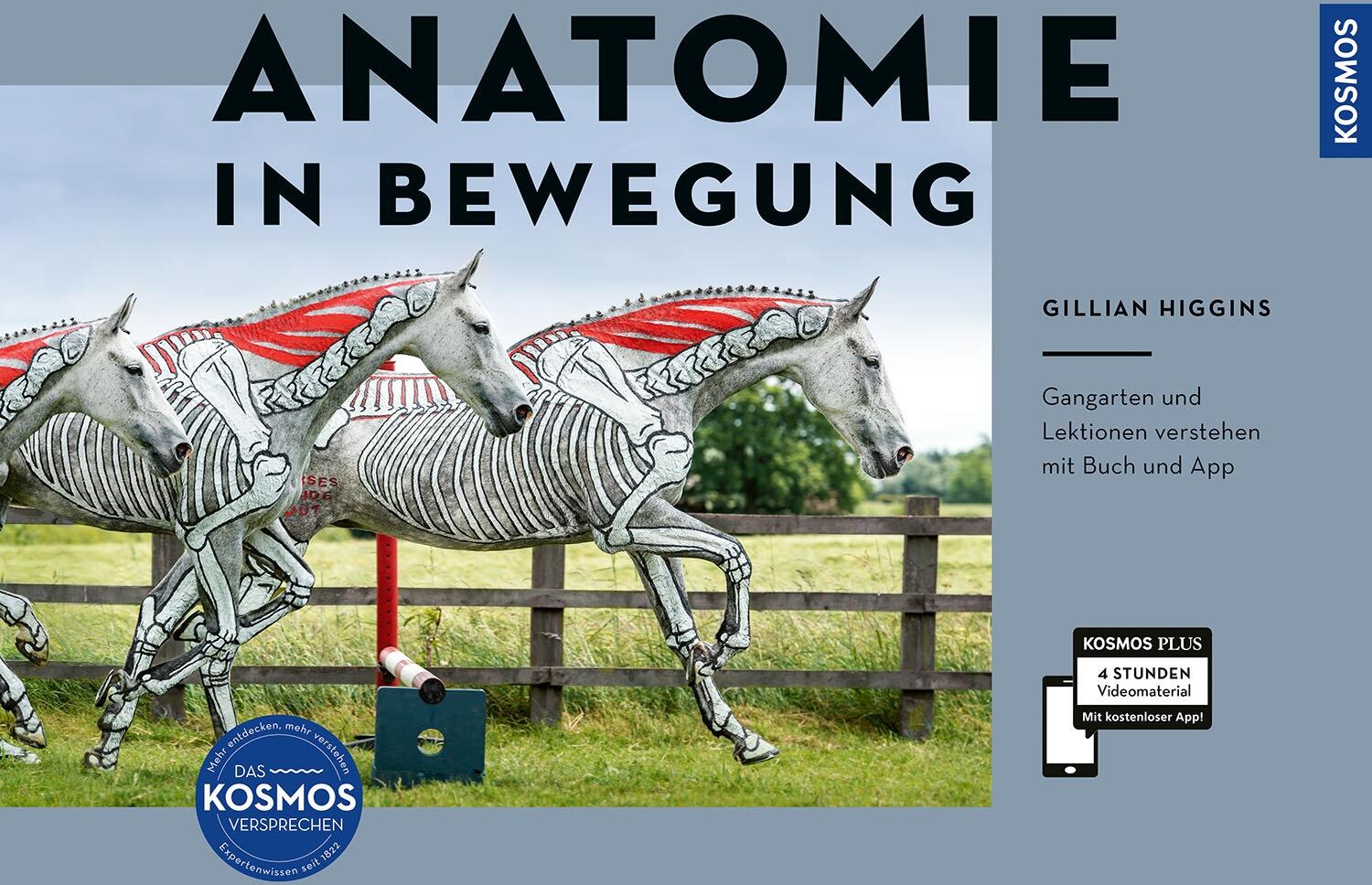 Anatomie in Bewegung