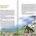 Doppel-Galoppel, Bd.01 - Zwei wie Sonne und Wind