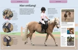 Pferde und Ponys