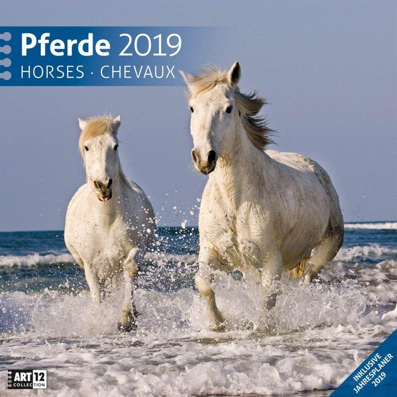 Pferdekinder-Kalender-2019