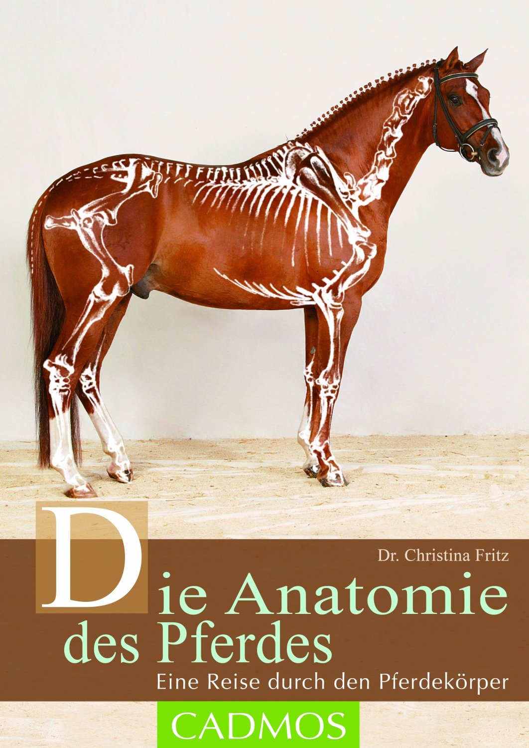 Die Anatomie des Pferdes
