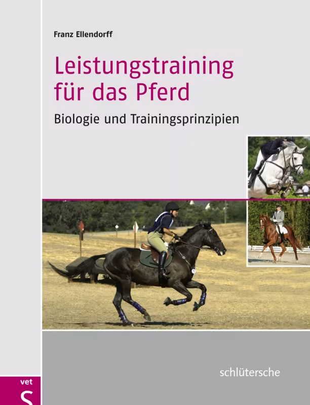 Leistungstraining f&uuml;r das Pferd