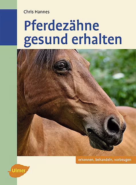 Pferdez&auml;hne gesund erhalten