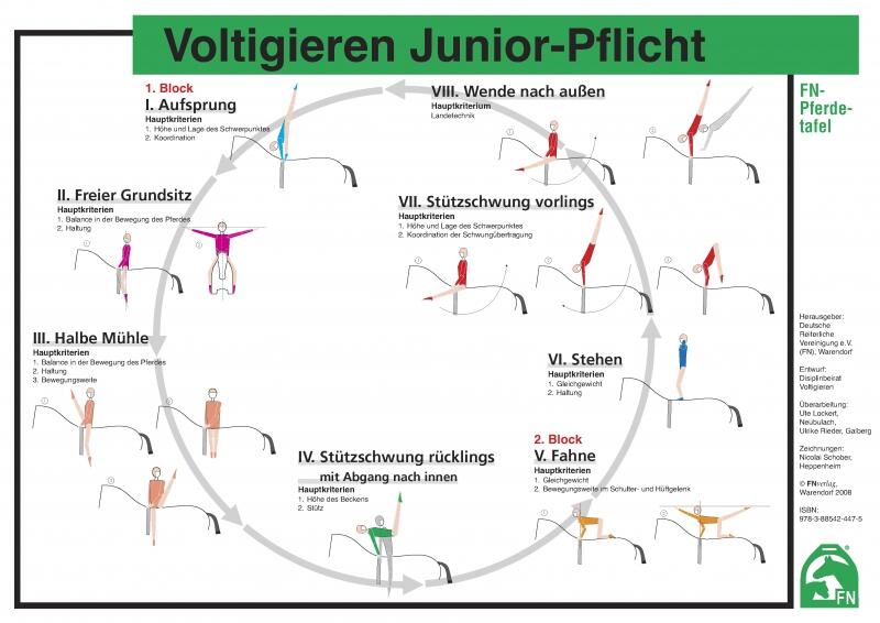 Lehr-/ Pferdetafel (A4) - Voltigieren Junior-Pflicht - Gruppen