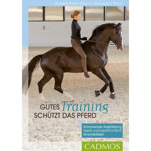 Gutes Training sch&uuml;tzt das Pferd