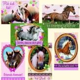 Pferdefreunde - Freundschaftskärtchen, 6er Set