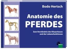 Anatomie des Pferdes - Zum Verständnis des Körperbaus und der Lebensfunktionen