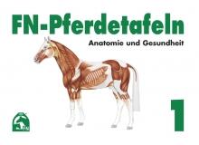 FN-Pferdetafeln Set 1 - Anatomie und Gesundheit