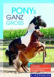 Ponys ganz groß