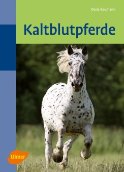 Kaltblutpferde