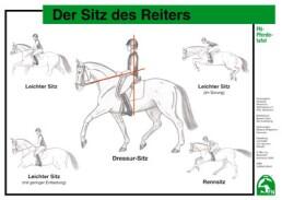 Lehr-/ Pferdetafel (A4) - Der Sitz des Reiters