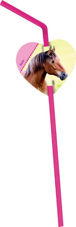 Das große Einhorn-Überrachungs-Set