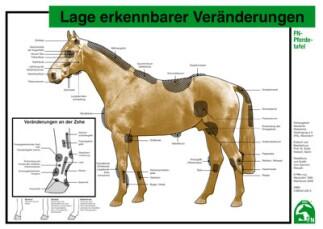 Lehr-/ Pferdetafel (A4) - Lage erkennbarer Veränderungen