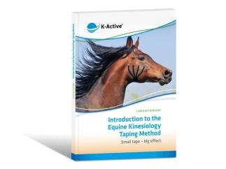 Introduction to the Equine Kinesiology Taping Method