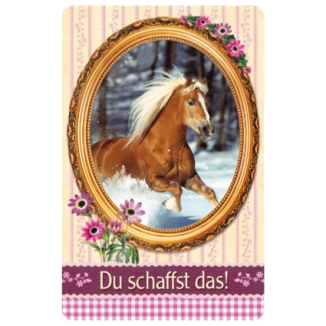 Pferdefreunde - Freundschaftskärtchen Du schaffst das!