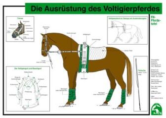 Lehr-/ Pferdetafel (A4) - Die Ausrüstung des Voltigierpferdes