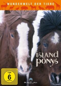 Wunderwelt der Tiere: Island Ponys