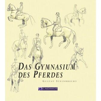 DAS GYMNASIUM DES PFERDES