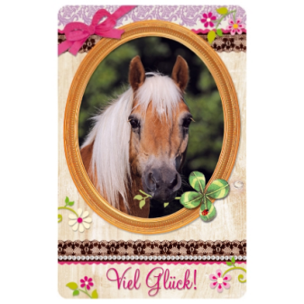 Pferdefreunde - Freundschaftskärtchen Viel Glück!