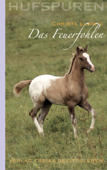 Hufspuren Band 5 - Das Feuerfohlen