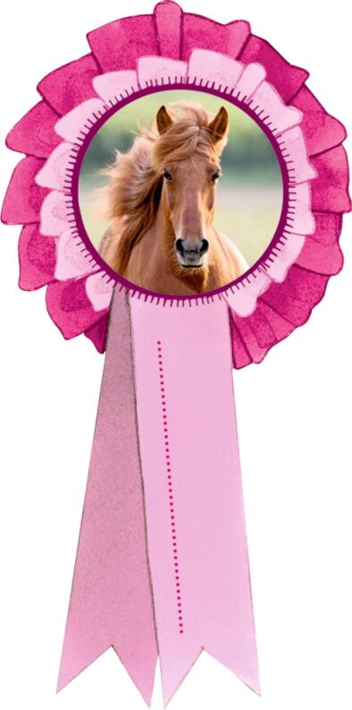 Das große Einhorn-Überrachungs-Set