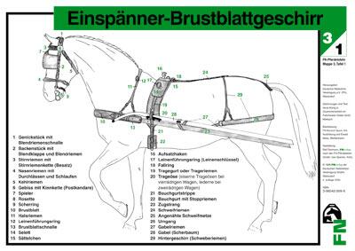 Lehr-/ Pferdetafel (A4) - Einspänner-Brustblattgeschirr