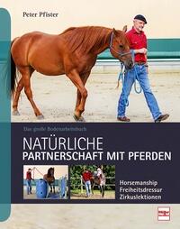 Bodenarbeit - Natürliche Partnerschaft mit Pferden