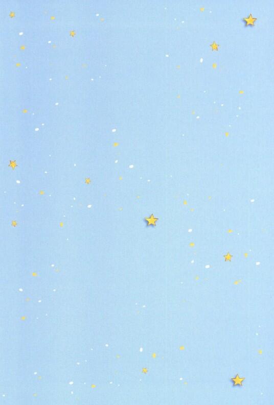 Paula auf dem Ponyhof: Das Ponyturnier