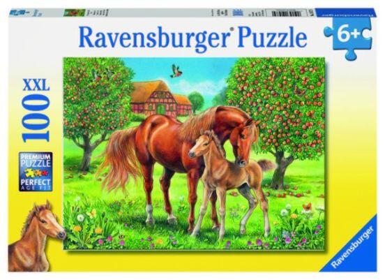Pferdeglück auf Wiese 100 Teile Puzzle