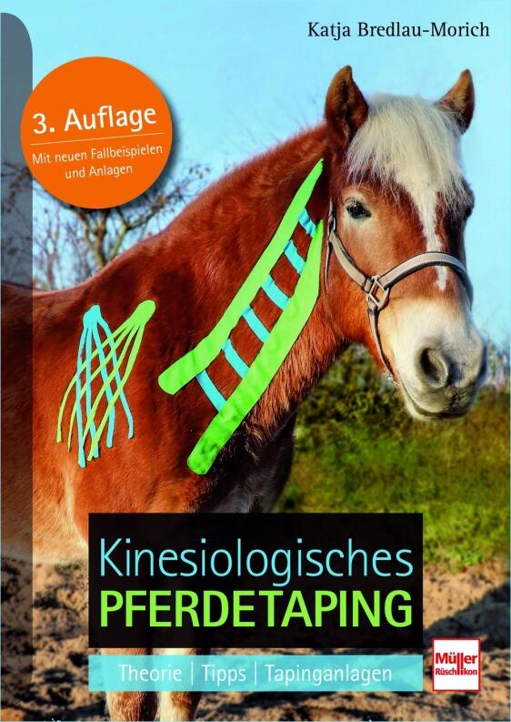 Kinesiologisches Pferdetaping