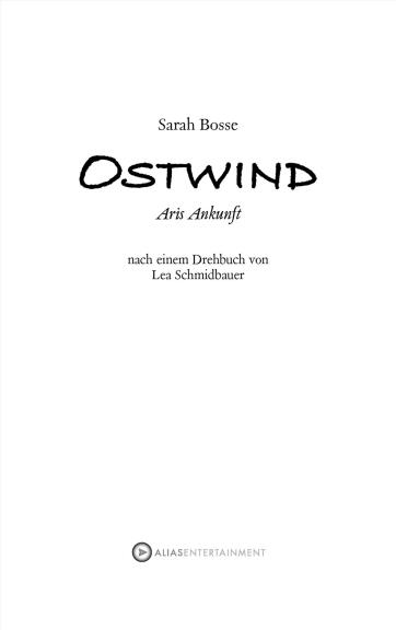 Ostwind - Aris Ankunft: Das Buch zum Film, Bd. 04