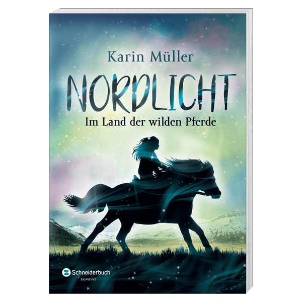 Nordlicht - Bd. 1:  Im Land der wilden Pferde