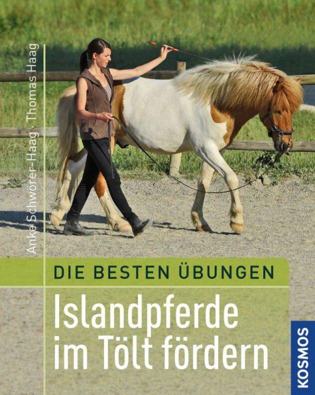 Die besten Übungen - Islandpferde im Tölt fördern